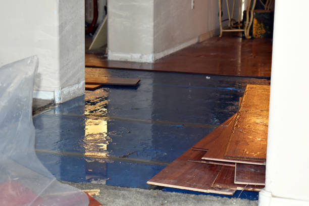 Professional Sewage Cleanup technician working in Standish, MI